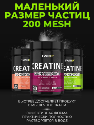 1WIN / Креатин моногидрат. Набор из 3х банок. Вкус: Энергетик, Ягодный микс, Персик, 200г.