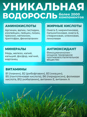 1WIN / Спирулина в таблетках, детокс для похудения, Spirulina суперфуд, 200 грамм