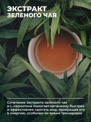 1WIN /  L-карнитин + зеленый чай, 90 капсул