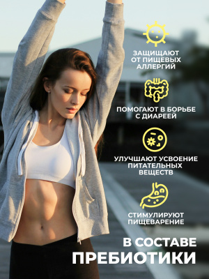 1WIN / Протеин с пребиотиками Whey Protein Лимонный пай, 425 г, 17 порций