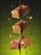 1WIN / PROTEIN BAR / Набор протеиновых батончиков  без сахара, 10шт. по 30г. Ванильный капучино