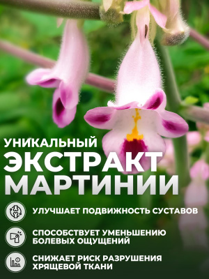1WIN /  Коллаген морской. Набор из 3х вкусов: Май Тай, Голубая лагуна, Гавайи, 180г.