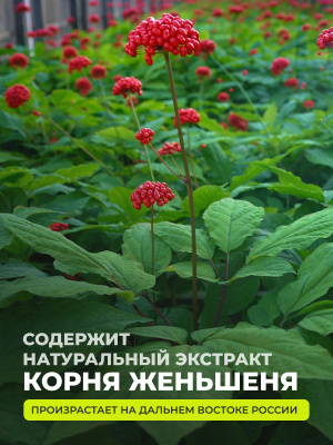 1WIN / Женьшень + таурин, 60 капсул